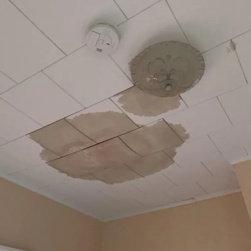 Ceiling Water Damage Repair in York, NE