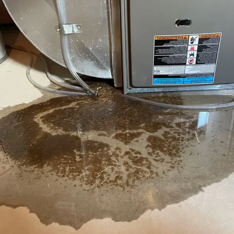 Pipe Burst and Leak Restoration in York, NE